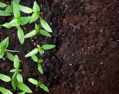 Compost the Plastic Soup!